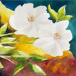 Recto de la carte postale "Carte blanche 1" : 2 fleurs blanches sur fond coloré